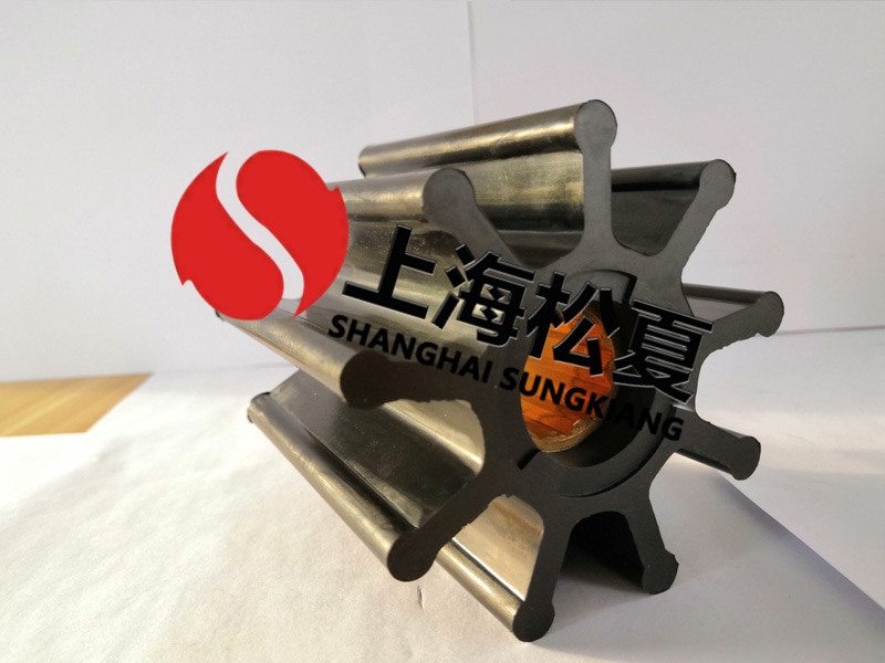 定制橡膠葉輪泵需要注意什么呢？